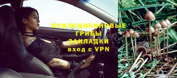 бутират Алексин