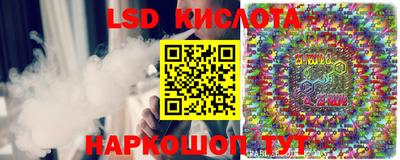 бошки Сланцы