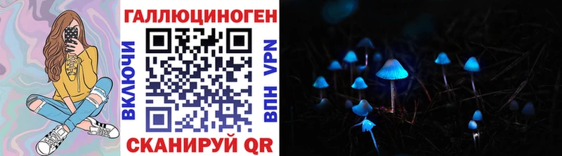 где купить наркотик  Протвино  Галлюциногенные грибы Magic Shrooms 