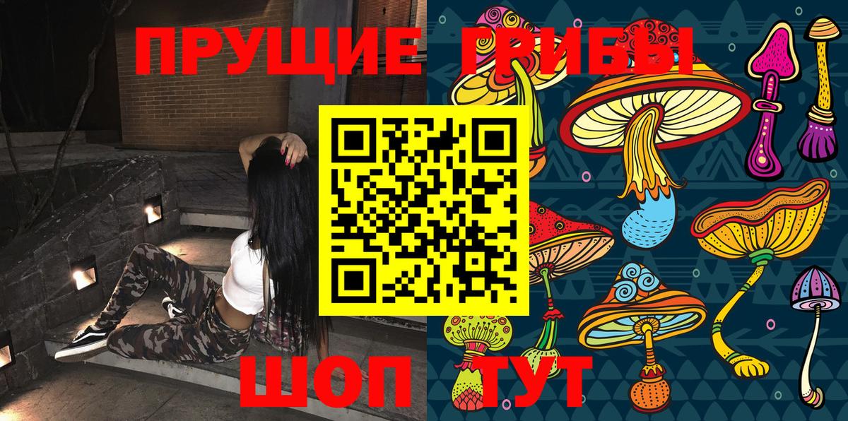 Галлюциногенные грибы Psilocybine cubensis Протвино