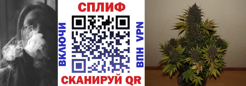мега зеркало  Протвино  Бошки марихуана Amnesia 